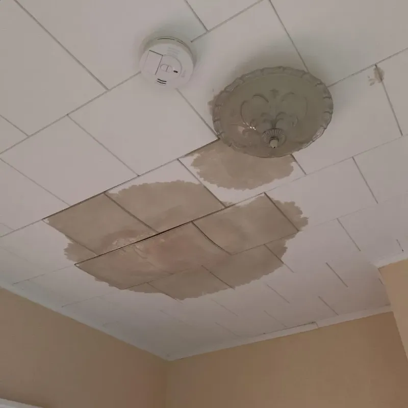 Ceiling Water Damage Repair in Port Clinton, OH