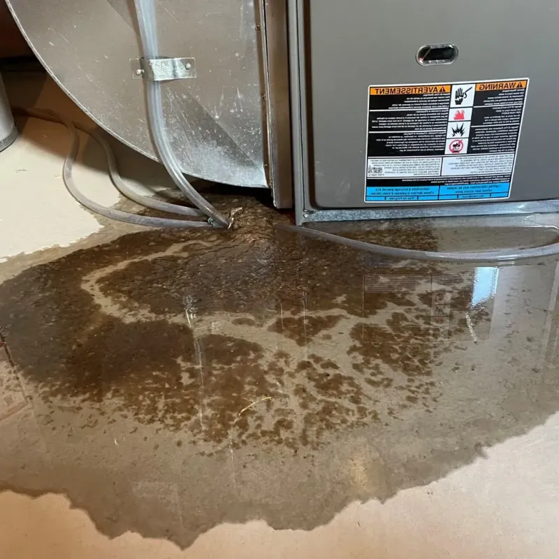 Pipe Burst and Leak Restoration in Port Clinton, OH