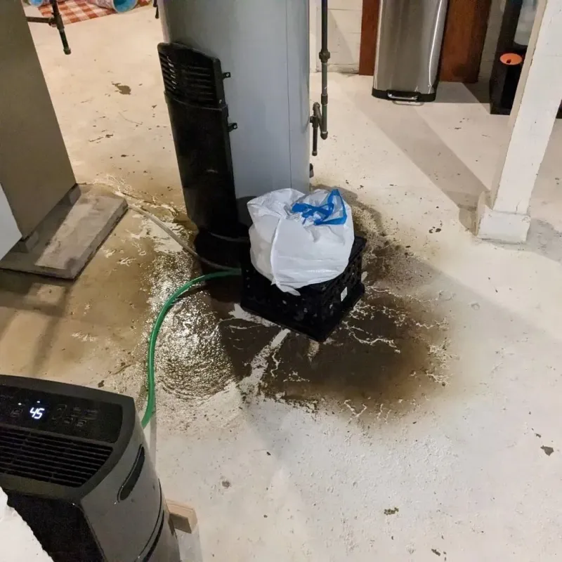 Sewage Backup Cleanup Service in Port Clinton, OH